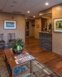 Welcoming patient waiting area