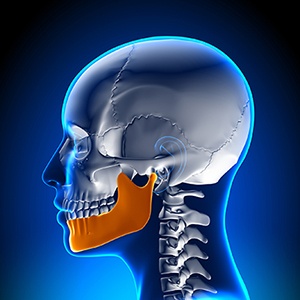 An image of the jaw joint.